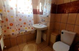 Apartament de 2 camere, centrala termica, aer conditionat, cartier Brazda lui Novac