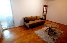 Apartament de 2 camere, centrala termica, aer conditionat, cartier Brazda lui Novac