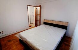 Apartament de 2 camere, centrala termica, aer conditionat, cartier Brazda lui Novac