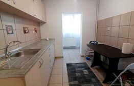Apartament de 2 camere, centrala termica, aer conditionat, cartier Brazda lui Novac