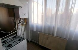 Apartament de 2 camere, centrala termica, aer conditionat, cartier Brazda lui Novac