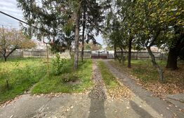 Teren intravilan 3428 mp, front 28 metri, Blvd. Nicolae Romanescu