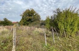 Teren intravilan 3428 mp, front 28 metri, Blvd. Nicolae Romanescu