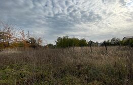 Teren intravilan 3428 mp, front 28 metri, Blvd. Nicolae Romanescu