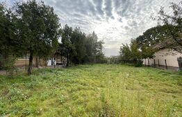 Teren intravilan 3428 mp, front 28 metri, Blvd. Nicolae Romanescu