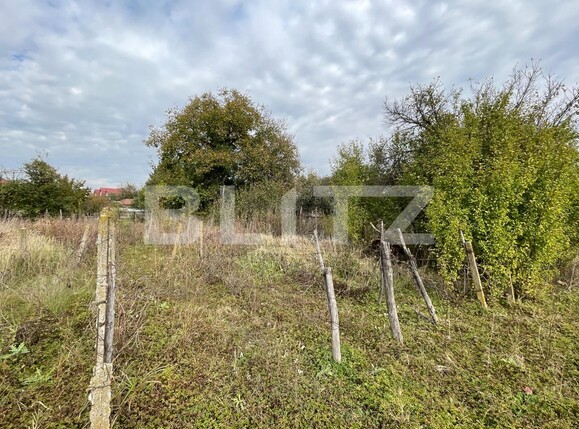 Teren de vânzare Romanesti - 101189TV | BLITZ Craiova | Poza4