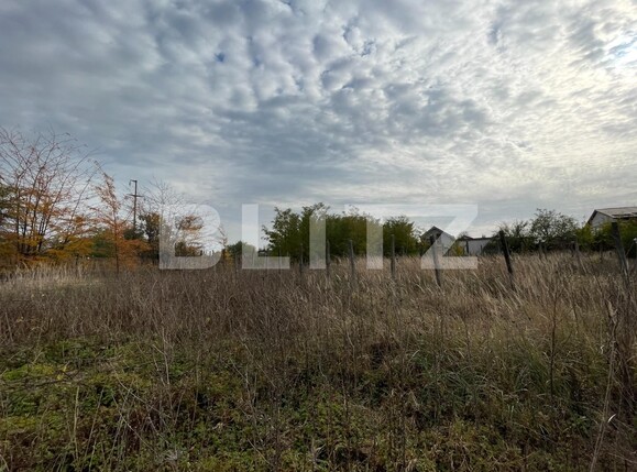 Teren de vânzare Romanesti - 101189TV | BLITZ Craiova | Poza3