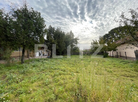 Teren de vânzare Romanesti - 101189TV | BLITZ Craiova | Poza1