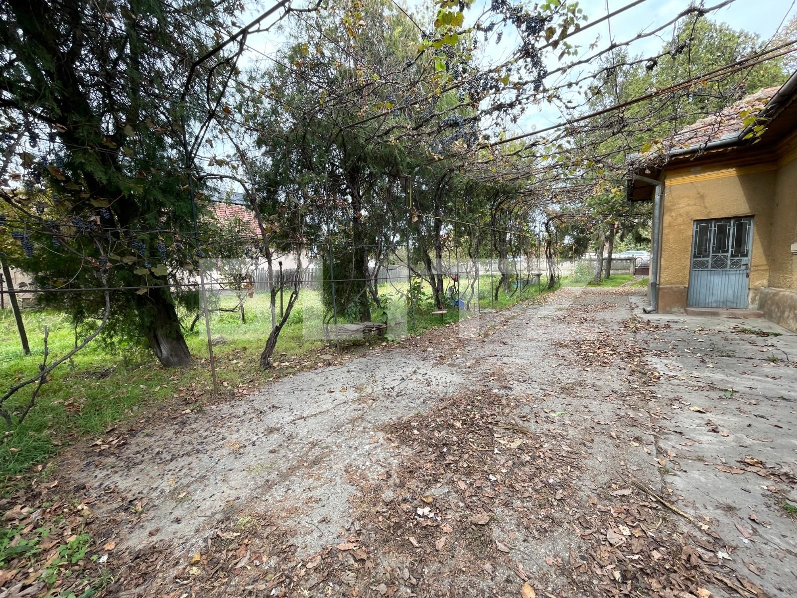 Teren de vânzare Romanesti - 101189TV | BLITZ Craiova | Poza5