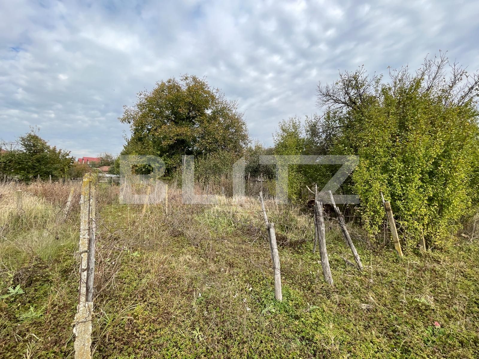 Teren de vânzare Romanesti - 101189TV | BLITZ Craiova | Poza4