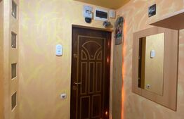 Apartament de 2 camere, semidecomandat, in Brazda lui Novac