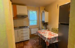 Apartament de 2 camere, semidecomandat, in Brazda lui Novac