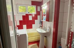 Apartament de 2 camere, semidecomandat, in Brazda lui Novac