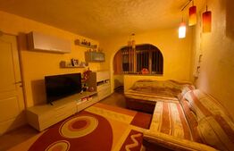 Apartament de 2 camere, semidecomandat, in Brazda lui Novac