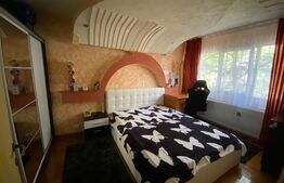 Apartament de 2 camere, semidecomandat, in Brazda lui Novac