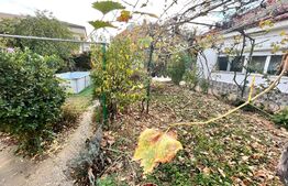 Teren de 443 mp si casa de 79 mp, Puskin