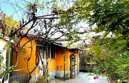 Teren de 443 mp si casa de 79 mp, Puskin