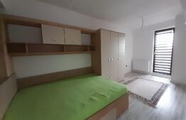 Garsoniera decomandata, 46mp, parcare privata, Calea Severinului