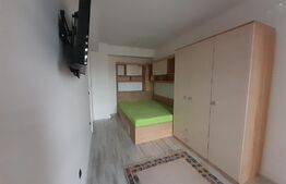 Garsoniera decomandata, 46mp, parcare privata, Calea Severinului