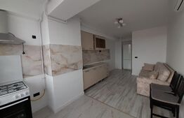 Garsoniera decomandata, 46mp, parcare privata, Calea Severinului