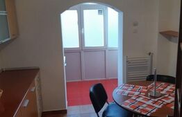Apartament 2 camere, centrala termica, aer conditionat, Brazda lui Novac