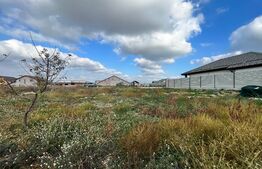 Teren 649 mp cu proiect autorizat pentru 2 case P + 1, Selgros