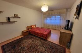 Apartament 2 camere, decomandat, 50mp, Brazda, zona scoala 23.