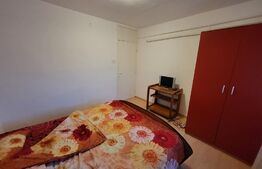 Apartament 2 camere, decomandat, 50mp, Brazda, zona scoala 23.