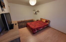 Apartament 2 camere, decomandat, 50mp, Brazda, zona scoala 23.