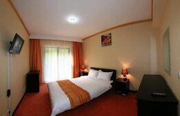 Pensiune *** D + P + 2E + M cu 22 camere,1.000 mp teren, Băile Herculane