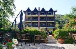 Pensiune *** D + P + 2E + M cu 22 camere,1.000 mp teren, Băile Herculane