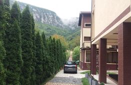 Pensiune *** D + P + 2E + M cu 22 camere,1.000 mp teren, Băile Herculane