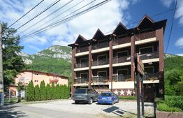 Pensiune *** D + P + 2E + M cu 22 camere,1.000 mp teren, Băile Herculane