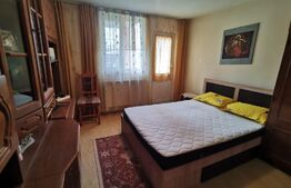 Oportunitate! Casă P+E 160 mp, 850 mp teren, Filiasi