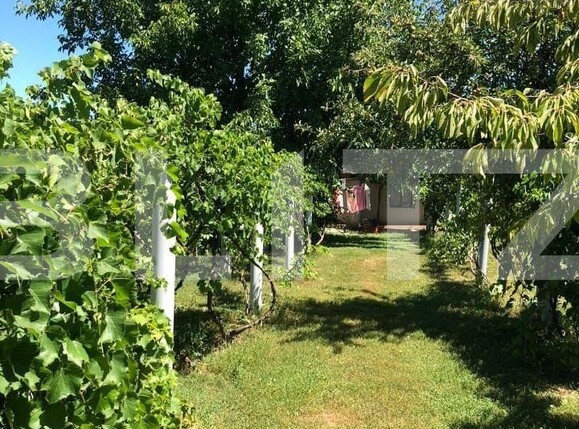 Casa de vânzare 6 camere Filiaşi - 101898CV | BLITZ Craiova | Poza15