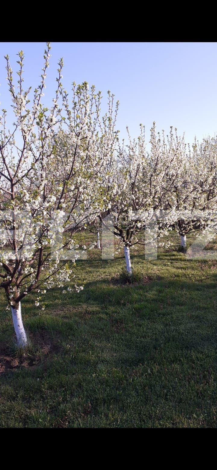 Casa de vânzare 6 camere Filiaşi - 101898CV | BLITZ Craiova | Poza14