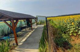 Casa cu teren de 2500 mp, 3 camere, Bucovat