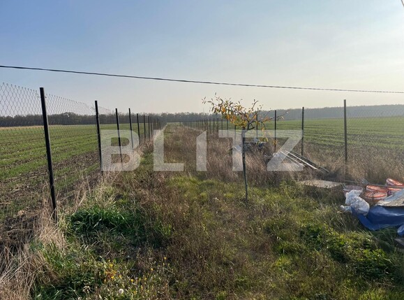 Casa de vânzare 2 camere Bucovat - 102086CV | BLITZ Craiova | Poza12