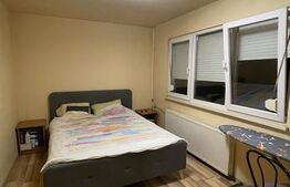 Apartament 2 camere, 50 mp, Brazda, zona Big Family