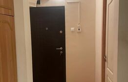 Apartament 2 camere, 50 mp, Brazda, zona Big Family