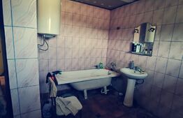 Duplex P+1, 250 mp si 2229 mp teren intravilan, in Leamna de Jos