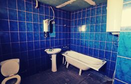 Duplex P+1, 250 mp si 2229 mp teren intravilan, in Leamna de Jos