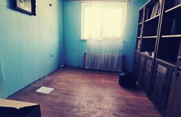 Duplex P+1, 250 mp si 2229 mp teren intravilan, in Leamna de Jos