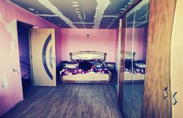 Duplex P+1, 250 mp si 2229 mp teren intravilan, in Leamna de Jos