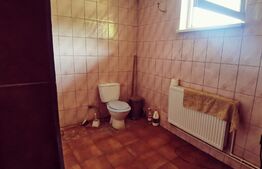 Duplex P+1, 250 mp si 2229 mp teren intravilan, in Leamna de Jos