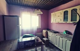 Duplex P+1, 250 mp si 2229 mp teren intravilan, in Leamna de Jos