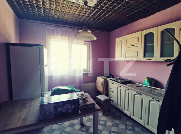 Casa de vânzare 8 camere Leamna de Jos - 102193CV | BLITZ Craiova | Poza4