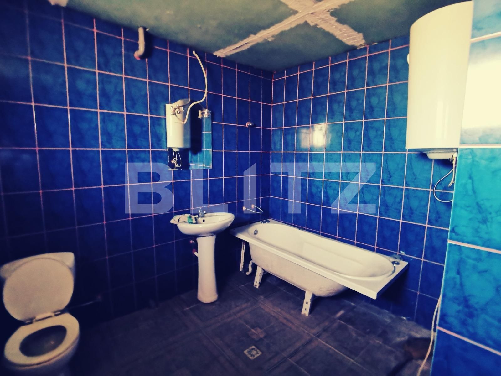 Casa de vânzare 8 camere Leamna de Jos - 102193CV | BLITZ Craiova | Poza16