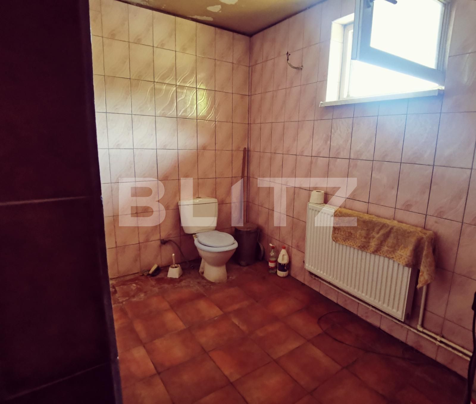 Casa de vânzare 8 camere Leamna de Jos - 102193CV | BLITZ Craiova | Poza11
