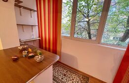 Apartament 2 camere, 60mp, AC, zona Lapus Arges